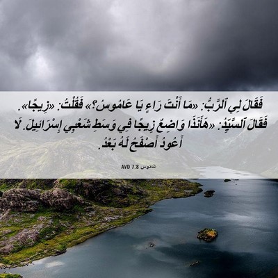 Picture 06 - عَامُوس 7:8 AVD - فَقَالَ لِي ٱلرَّبُّ: «مَا - Bible Verse Picture