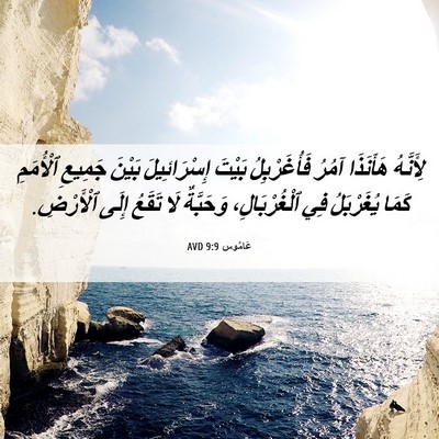 Picture 06 - عَامُوس 9:9 AVD - لِأَنَّهُ هَأَنَذَا آمُرُ - Bible Verse Picture