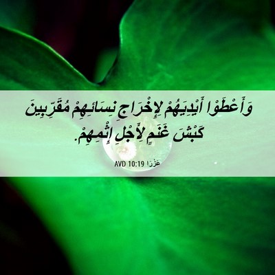 Picture 06 - عَزْرَا 10:19 AVD - وَأَعْطَوْا أَيْدِيَهُمْ - Bible Verse Picture
