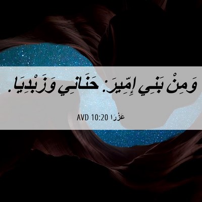 Picture 06 - عَزْرَا 10:20 AVD - وَمِنْ بَنِي إِمِّيرَ: - Bible Verse Picture