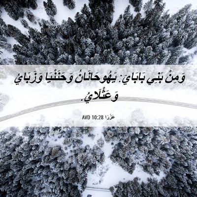 Picture 06 - عَزْرَا 10:28 AVD - وَمِنْ بَنِي بَابَايَ: - Bible Verse Picture