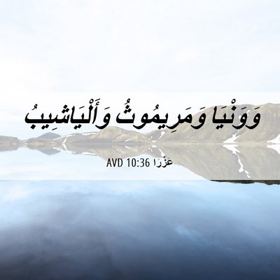 Picture 06 - عَزْرَا 10:36 AVD - وَوَنْيَا وَمَرِيمُوثُ - Bible Verse Picture