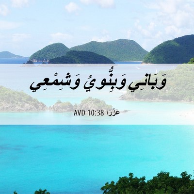 Picture 06 - عَزْرَا 10:38 AVD - وَبَانِي وَبِنُّويُ - Bible Verse Picture