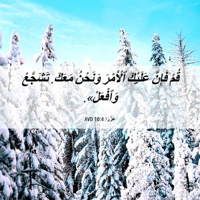 Picture 06 - عَزْرَا 10:4 AVD - قُمْ فَإِنَّ عَلَيْكَ - Bible Verse Picture