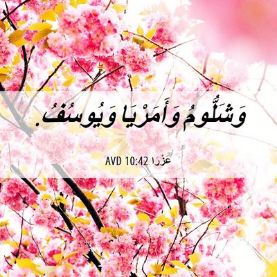 Picture 06 - عَزْرَا 10:42 AVD - وَشَلُّومُ وَأَمَرْيَا - Bible Verse Picture