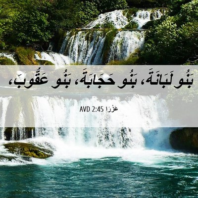 Picture 06 - عَزْرَا 2:45 AVD - بَنُو لَبَانَةَ، بَنُو - Bible Verse Picture