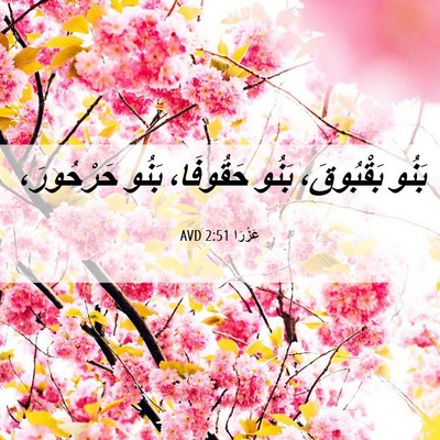 Picture 06 - عَزْرَا 2:51 AVD - بَنُو بَقْبُوقَ، بَنُو - Bible Verse Picture