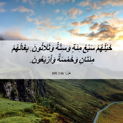 Picture 06 - عَزْرَا 2:66 AVD - خَيْلُهُمْ سَبْعُ مِئَةٍ - Bible Verse Picture