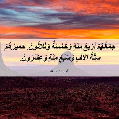 Picture 06 - عَزْرَا 2:67 AVD - جِمَالُهُمْ أَرْبَعُ - Bible Verse Picture