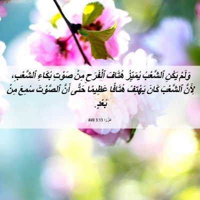 Picture 06 - عَزْرَا 3:13 AVD - وَلَمْ يَكُنِ ٱلشَّعْبُ - Bible Verse Picture