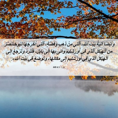 Picture 06 - عَزْرَا 6:5 AVD - وَأَيْضًا آنِيَةُ بَيْتِ - Bible Verse Picture