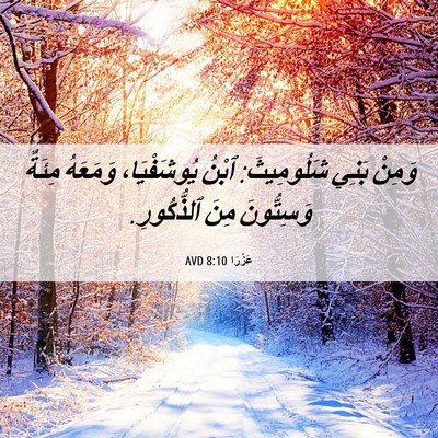 Picture 06 - عَزْرَا 8:10 AVD - وَمِنْ بَنِي شَلُومِيثَ: - Bible Verse Picture