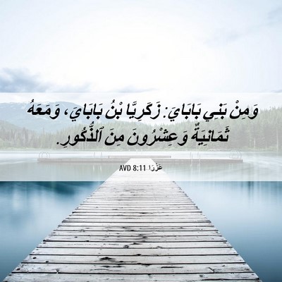 Picture 06 - عَزْرَا 8:11 AVD - وَمِنْ بَنِي بَابَايَ: - Bible Verse Picture