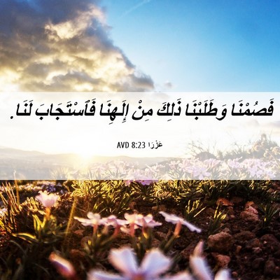 Picture 06 - عَزْرَا 8:23 AVD - فَصُمْنَا وَطَلَبْنَا - Bible Verse Picture