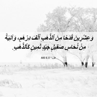 Picture 06 - عَزْرَا 8:27 AVD - وَعِشْرِينَ قَدَحًا مِنَ - Bible Verse Picture