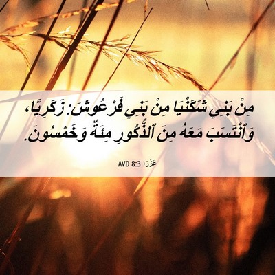 Picture 06 - عَزْرَا 8:3 AVD - مِنْ بَنِي شَكَنْيَا مِنْ - Bible Verse Picture