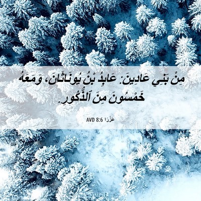 Picture 06 - عَزْرَا 8:6 AVD - مِنْ بَنِي عَادِينَ: - Bible Verse Picture