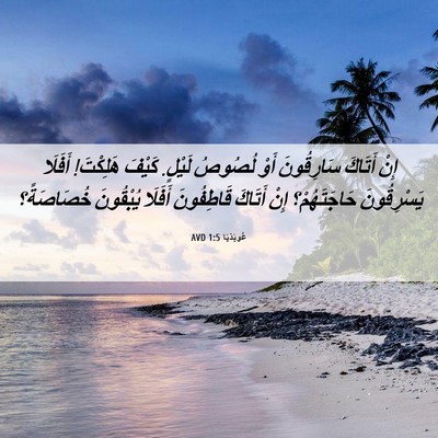 Picture 06 - عُوبَدْيَا 1:5 AVD - إِنْ أَتَاكَ سَارِقُونَ - Bible Verse Picture