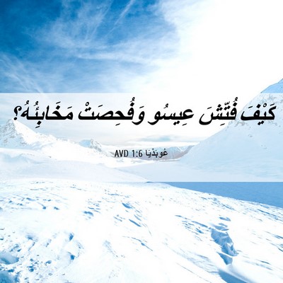 Picture 06 - عُوبَدْيَا 1:6 AVD - كَيْفَ فُتِّشَ عِيسُو - Bible Verse Picture