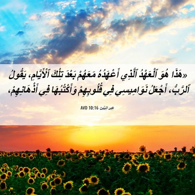Picture 06 - عِبرانِيّين 10:16 AVD - «هَذَا هُوَ ٱلْعَهْدُ - Bible Verse Picture