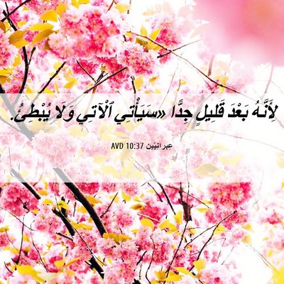 Picture 06 - عِبرانِيّين 10:37 AVD - لِأَنَّهُ بَعْدَ قَلِيلٍ - Bible Verse Picture