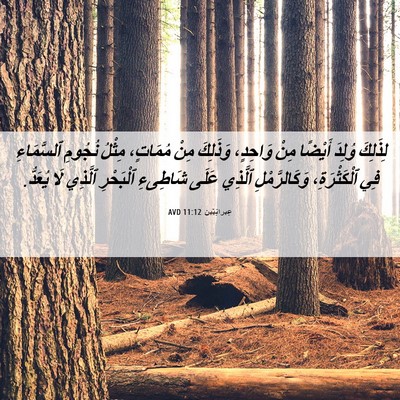 Picture 06 - عِبرانِيّين 11:12 AVD - لِذَلِكَ وُلِدَ أَيْضًا - Bible Verse Picture