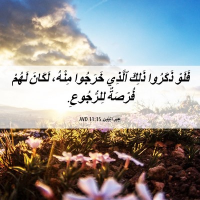 Picture 06 - عِبرانِيّين 11:15 AVD - فَلَوْ ذَكَرُوا ذَلِكَ - Bible Verse Picture
