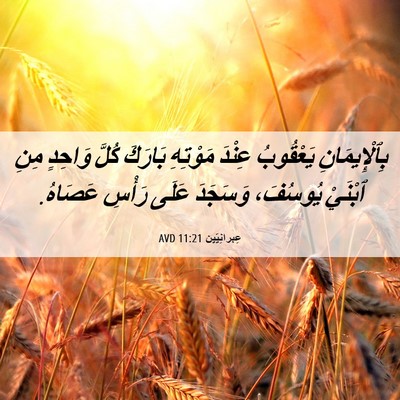 Picture 06 - عِبرانِيّين 11:21 AVD - بِٱلْإِيمَانِ يَعْقُوبُ - Bible Verse Picture
