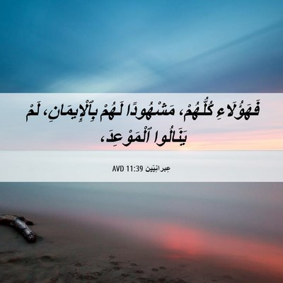 Picture 06 - عِبرانِيّين 11:39 AVD - فَهَؤُلَاءِ كُلُّهُمْ، - Bible Verse Picture