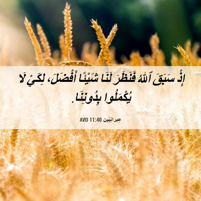 Picture 06 - عِبرانِيّين 11:40 AVD - إِذْ سَبَقَ ٱللهُ فَنَظَرَ - Bible Verse Picture