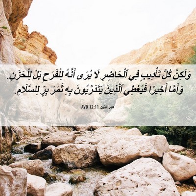 Picture 06 - عِبرانِيّين 12:11 AVD - وَلَكِنَّ كُلَّ تَأْدِيبٍ - Bible Verse Picture