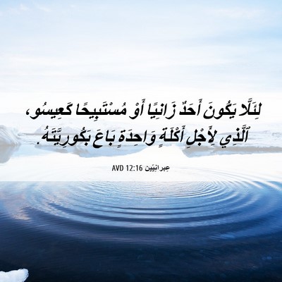 Picture 06 - عِبرانِيّين 12:16 AVD - لِئَلَّا يَكُونَ أَحَدٌ - Bible Verse Picture