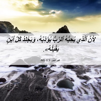 Picture 06 - عِبرانِيّين 12:6 AVD - لِأَنَّ ٱلَّذِي يُحِبُّهُ - Bible Verse Picture