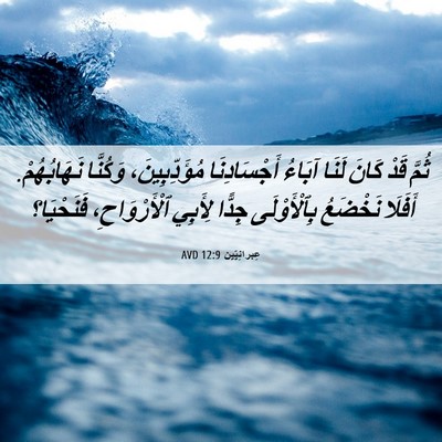 Picture 06 - عِبرانِيّين 12:9 AVD - ثُمَّ قَدْ كَانَ لَنَا - Bible Verse Picture