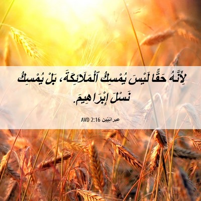 Picture 06 - عِبرانِيّين 2:16 AVD - لِأَنَّهُ حَقًّا لَيْسَ - Bible Verse Picture