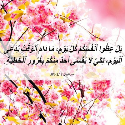 Picture 06 - عِبرانِيّين 3:13 AVD - بَلْ عِظُوا أَنْفُسَكُمْ - Bible Verse Picture