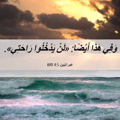 Picture 06 - عِبرانِيّين 4:5 AVD - وَفِي هَذَا أَيْضًا: «لَنْ - Bible Verse Picture