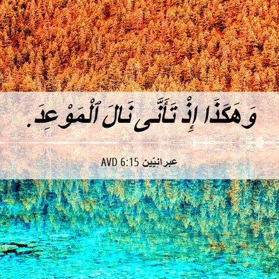 Picture 06 - عِبرانِيّين 6:15 AVD - وَهَكَذَا إِذْ تَأَنَّى - Bible Verse Picture