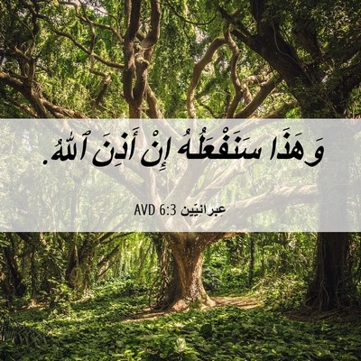 Picture 06 - عِبرانِيّين 6:3 AVD - وَهَذَا سَنَفْعَلُهُ إِنْ - Bible Verse Picture
