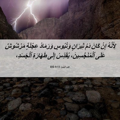 Picture 06 - عِبرانِيّين 9:13 AVD - لِأَنَّهُ إِنْ كَانَ دَمُ - Bible Verse Picture