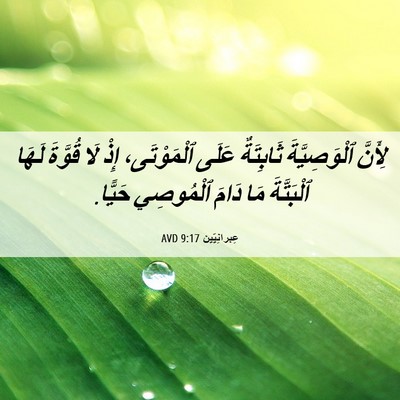 Picture 06 - عِبرانِيّين 9:17 AVD - لِأَنَّ ٱلْوَصِيَّةَ - Bible Verse Picture