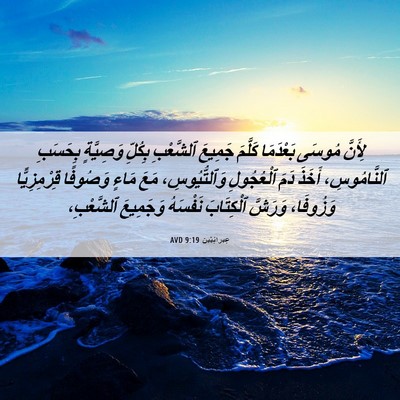 Picture 06 - عِبرانِيّين 9:19 AVD - لِأَنَّ مُوسَى بَعْدَمَا - Bible Verse Picture