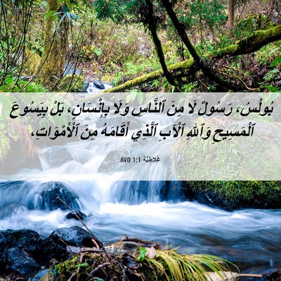 Picture 06 - غَلاطِيَّة 1:1 AVD - بُولُسُ، رَسُولٌ لَا مِنَ - Bible Verse Picture