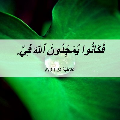 Picture 06 - غَلاطِيَّة 1:24 AVD - فَكَانُوا يُمَجِّدُونَ - Bible Verse Picture