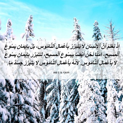 Picture 06 - غَلاطِيَّة 2:16 AVD - إِذْ نَعْلَمُ أَنَّ - Bible Verse Picture