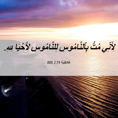 Picture 06 - غَلاطِيَّة 2:19 AVD - لِأَنِّي مُتُّ - Bible Verse Picture