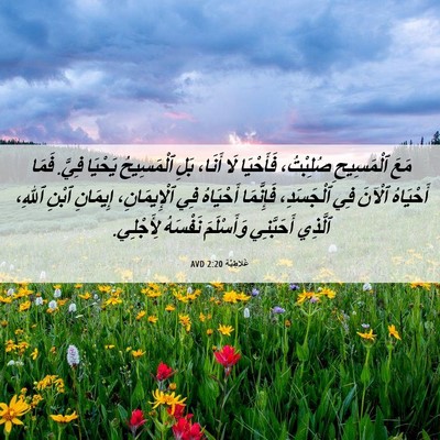 Picture 06 - غَلاطِيَّة 2:20 AVD - مَعَ ٱلْمَسِيحِ صُلِبْتُ، - Bible Verse Picture