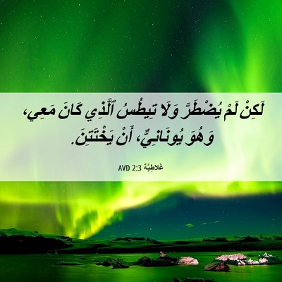 Picture 06 - غَلاطِيَّة 2:3 AVD - لَكِنْ لَمْ يُضْطَرَّ - Bible Verse Picture