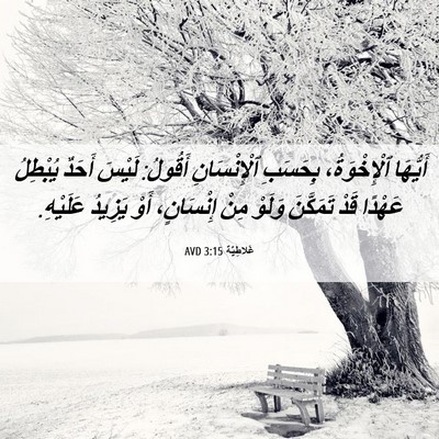 Picture 06 - غَلاطِيَّة 3:15 AVD - أَيُّهَا ٱلْإِخْوَةُ، - Bible Verse Picture