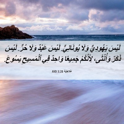 Picture 06 - غَلاطِيَّة 3:28 AVD - لَيْسَ يَهُودِيٌّ وَلَا - Bible Verse Picture